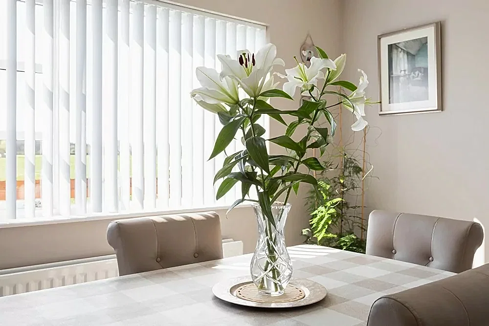 vertical blinds in dining area